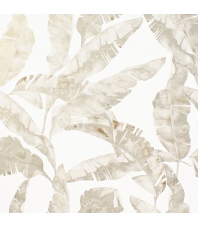 "OFERTA" PAPEL PINTADO LEGENDS B21035**