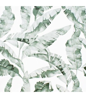 "OFERTA" PAPEL PINTADO LEGENDS B21038**